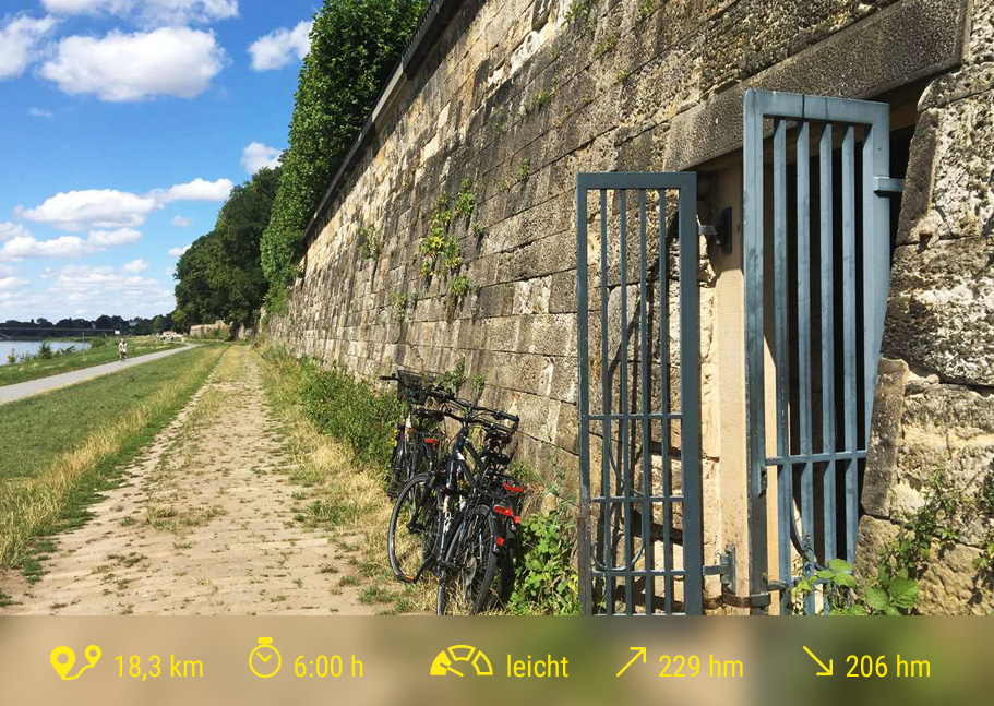 Elberadweg unterhalb des Lingnerschlosses