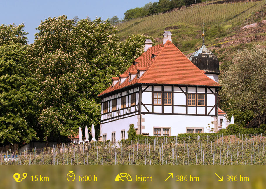 Blick auf die Hoflößnitz