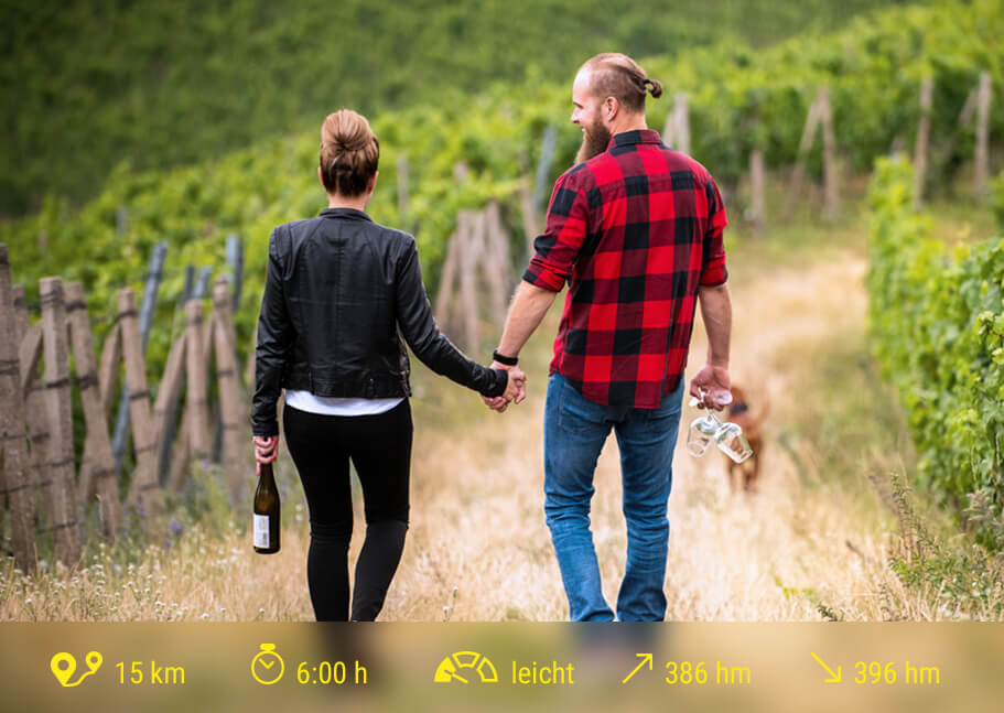 Weinwandern in Radebeul