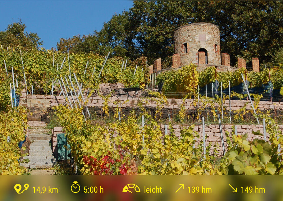 Ratsweinberg mit Wartturm