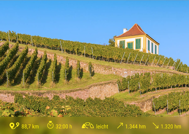 Gesamtweg_Weinberge-in-Diesbar-Seußlitz©Daniel_Bahrmann_911x647_RZ Gesamtweg Weinberge in Diesbar-Seußlitz