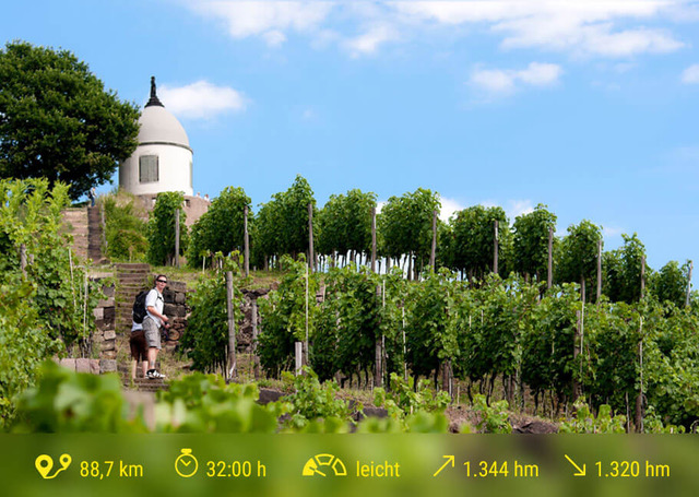 Gesamtweg_Weinbergswanderung-auf-Schloss-Wackerbarth©Oliver-Killig_911x647_RZ Gesamtweg Weinbergswanderung auf Schloss Wackerbarth