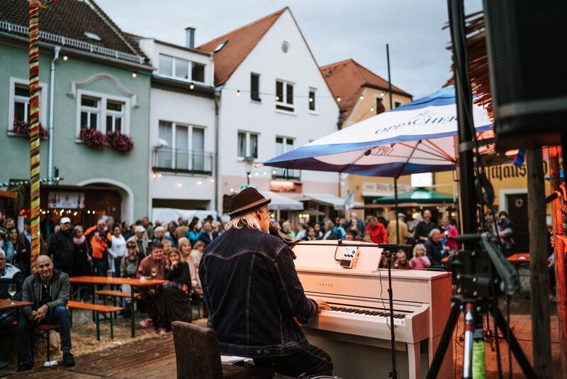 Musiker auf Herbst- und Weinfest