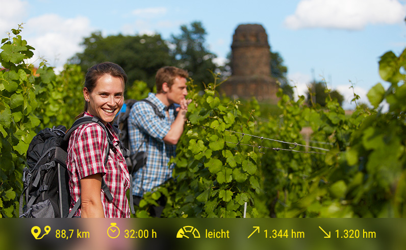 Weinwandern_Foto-TMGS_114_796x490_RZ
